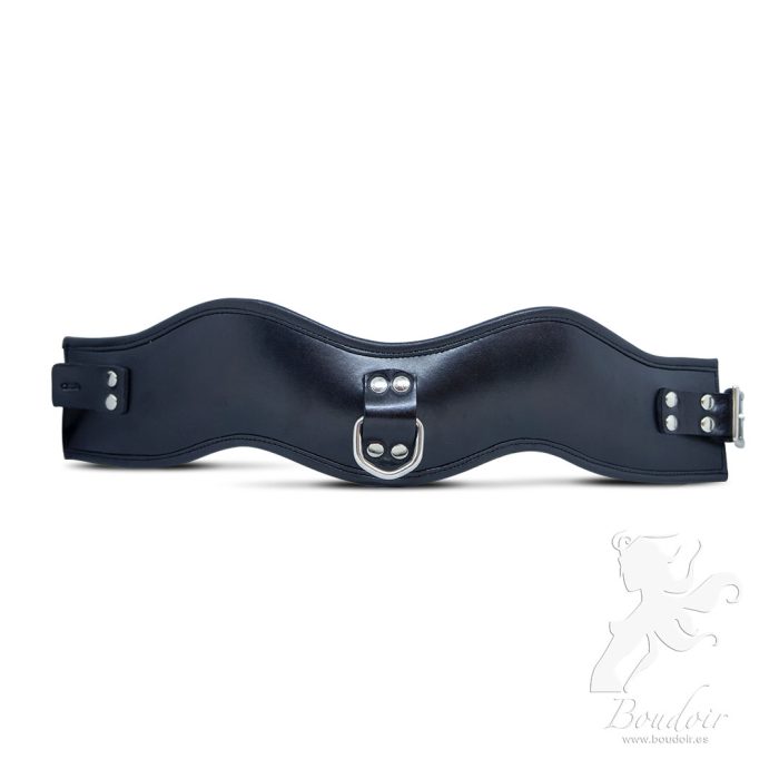 luxury fetish collar